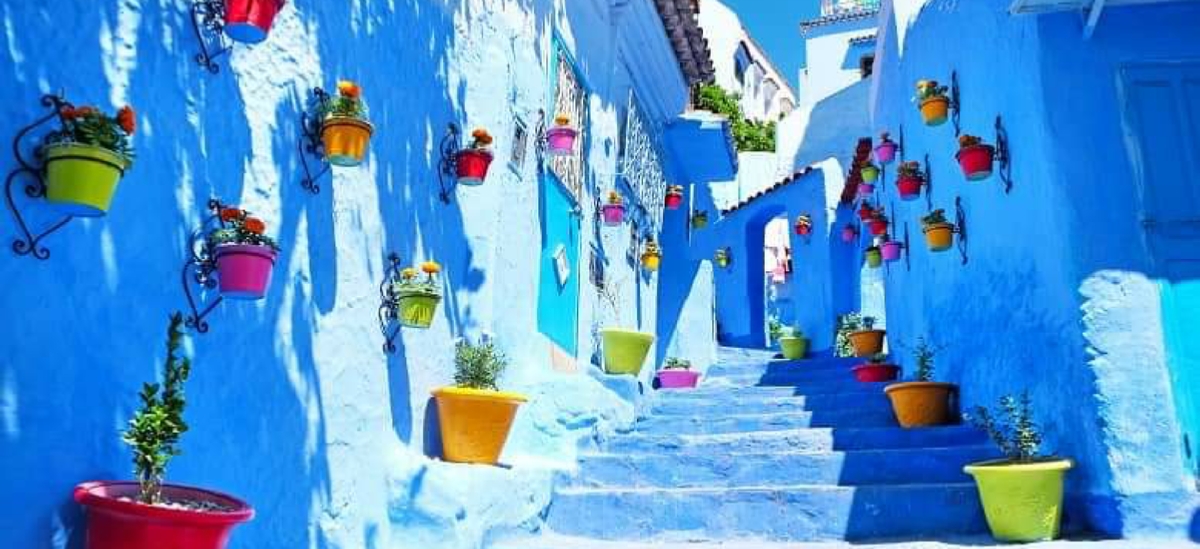 Tours from Casablanca