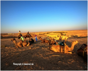 Day Trip from Marrakech