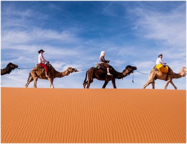 6 day Camel tour to Marrakech from Casablanca