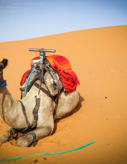 2 days Marrakech tour to desert in Zagora