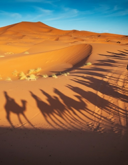 3 days 2 nights Desert Tour From Fes to Sahara