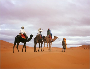 6 day Camel tour to Marrakech from Casablanca