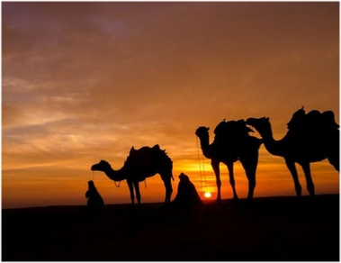 Agadir Desert Tour
