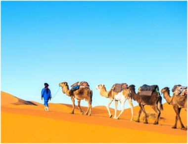 Agadir Desert Tour