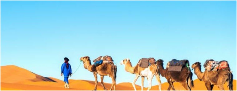 Agadir Desert Tour