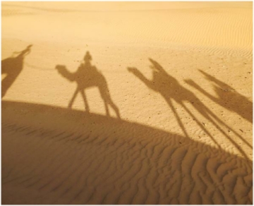 Morocco Sahara Desert Tour