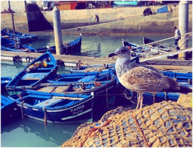 Private Day Tour to Essaouira