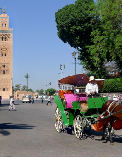 6 day Camel tour to Marrakech from Casablanca