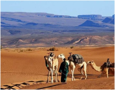 2 days Marrakech tour to desert in Zagora