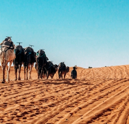 Morocco Tours